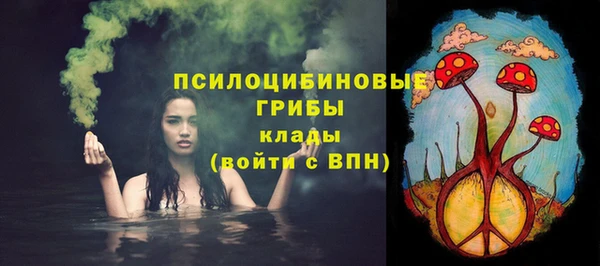 гашик Баксан