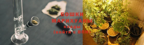 гашик Баксан