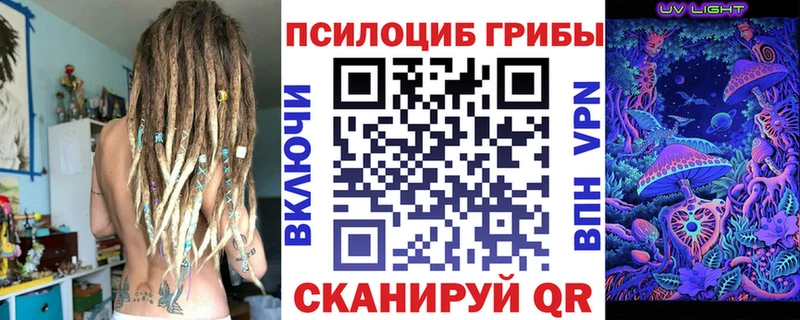 Галлюциногенные грибы Psilocybine cubensis цены наркотик Багратионовск